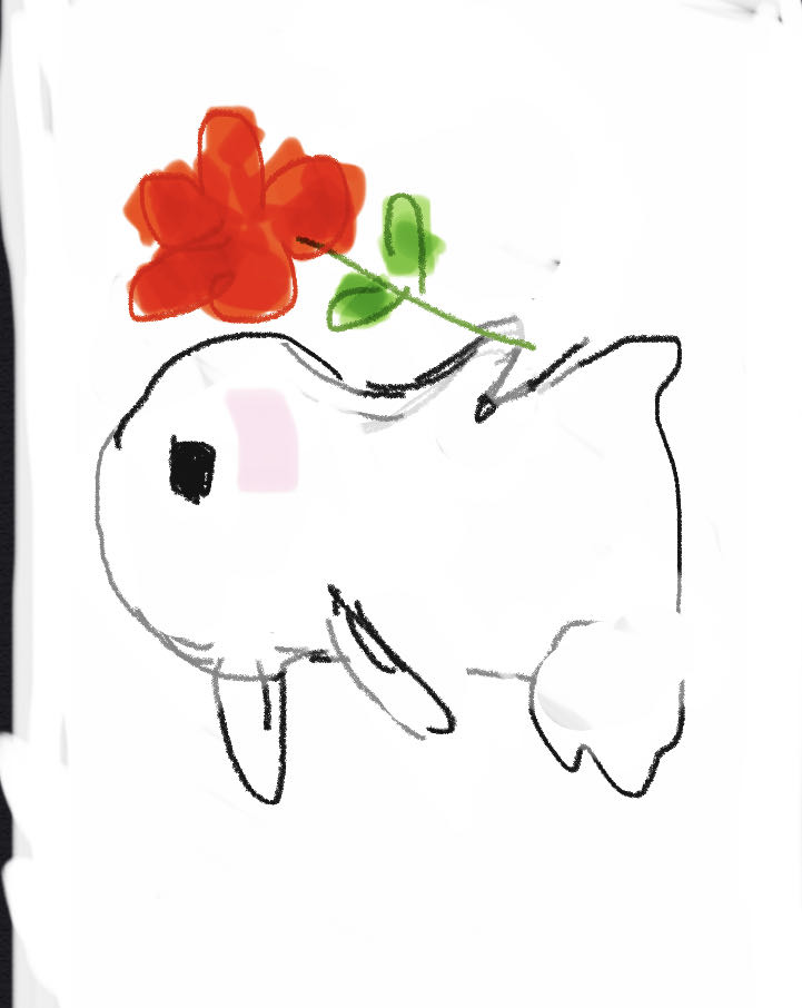 小兔